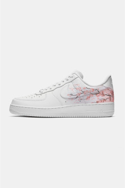 Sakura - Air Force 1